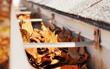 Wingham Green gutter cleaning companies